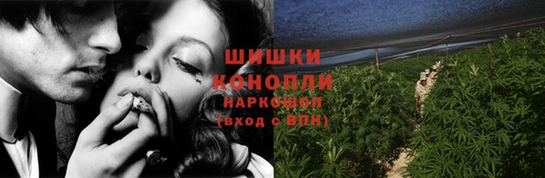 ГАЛЛЮЦИНОГЕННЫЕ ГРИБЫ Артём