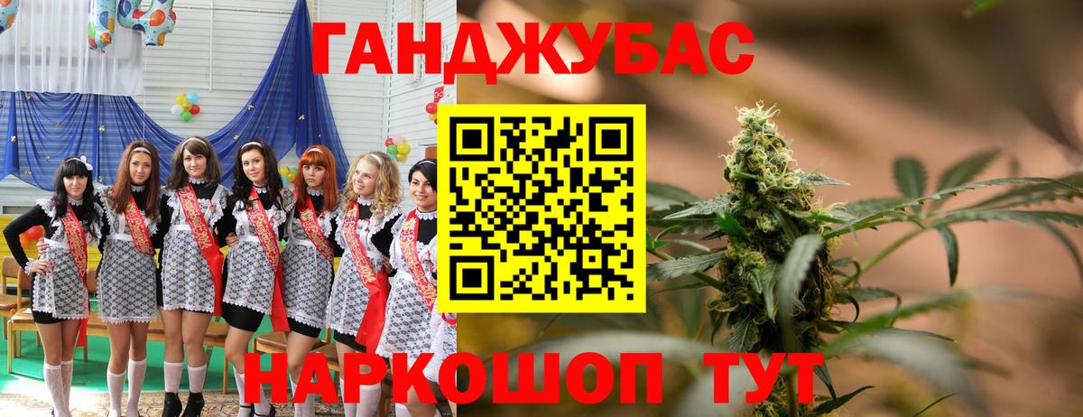 Канабис сатива Минусинск
